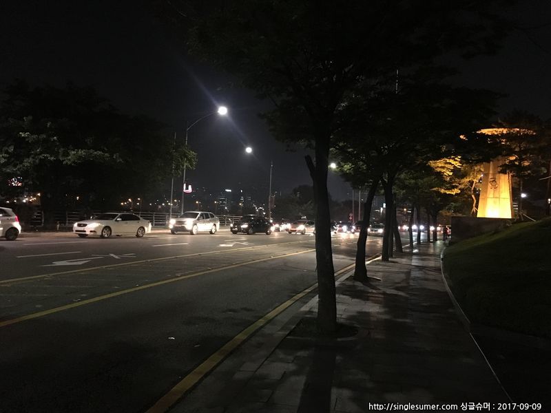 유기동물 발견 신고 | 강아지 고양이 구조 보호중 - 펫찾기 25번째 사진