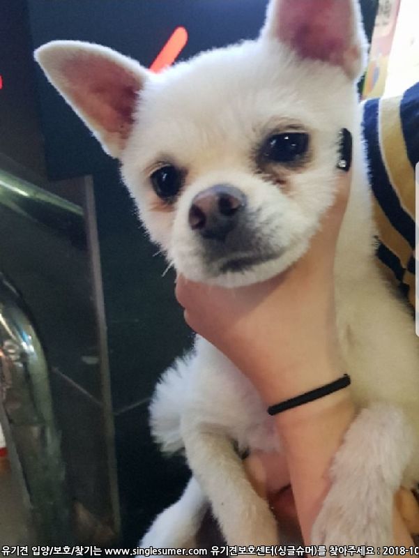 부산사상터미널포메임보중 2번째 사진