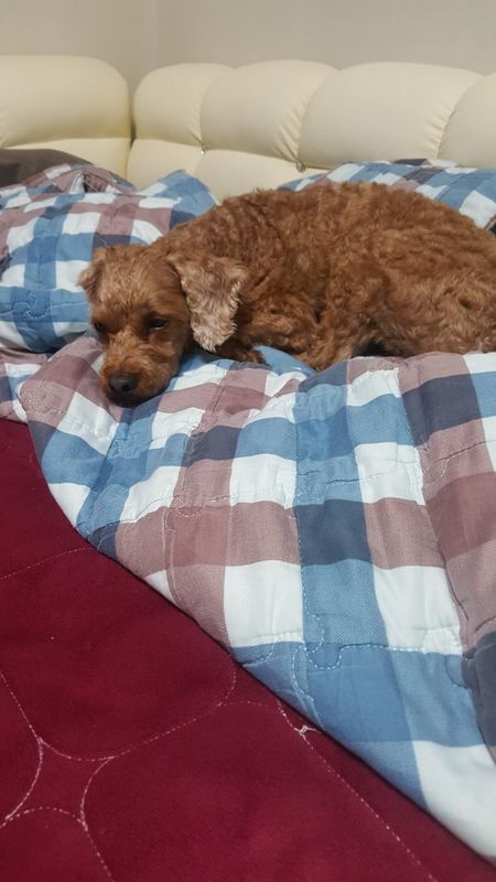 인천 인하대 부근 2번째 사진