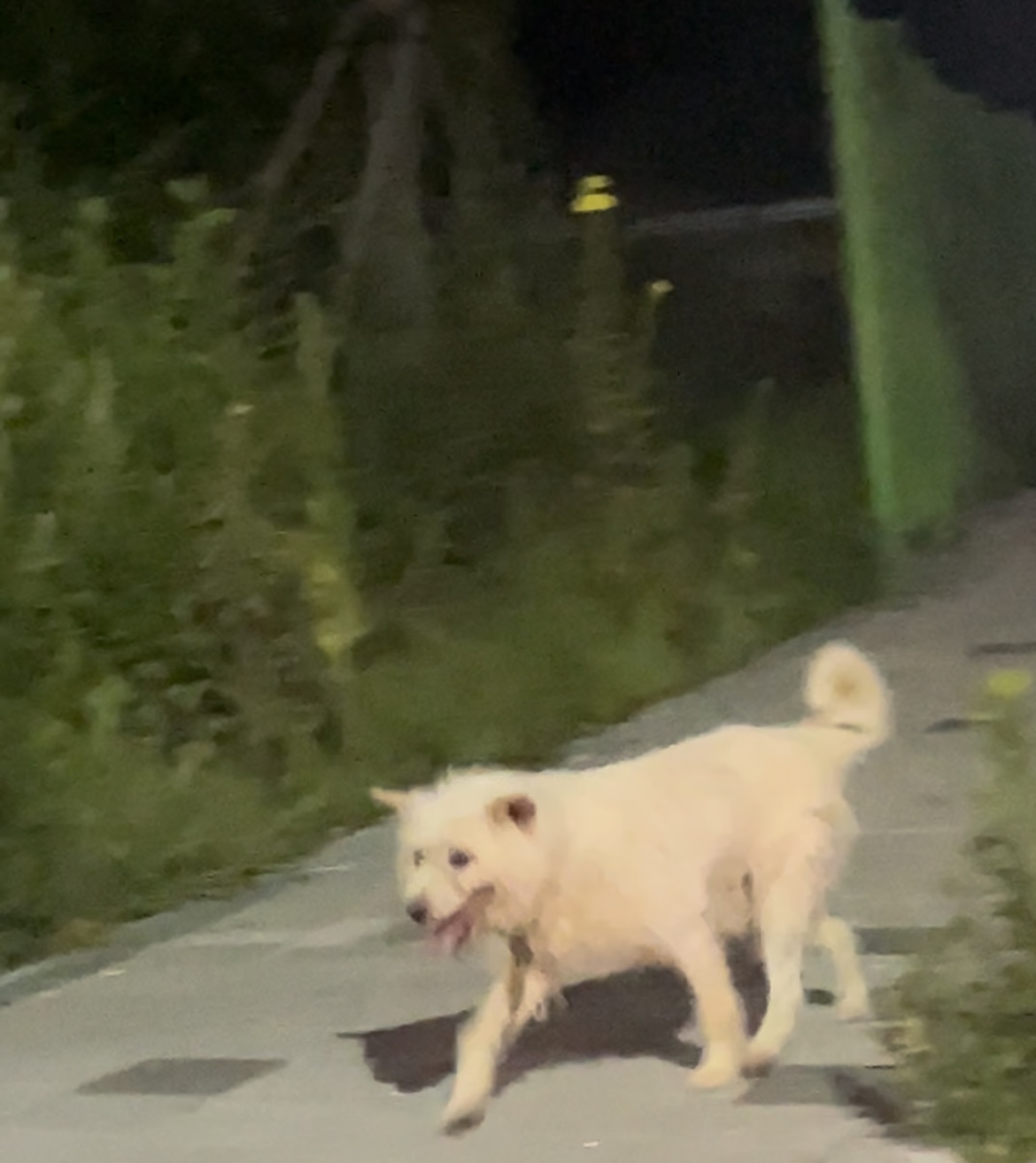 대구 학정역효성해링턴플레이스 근처 2번째 사진