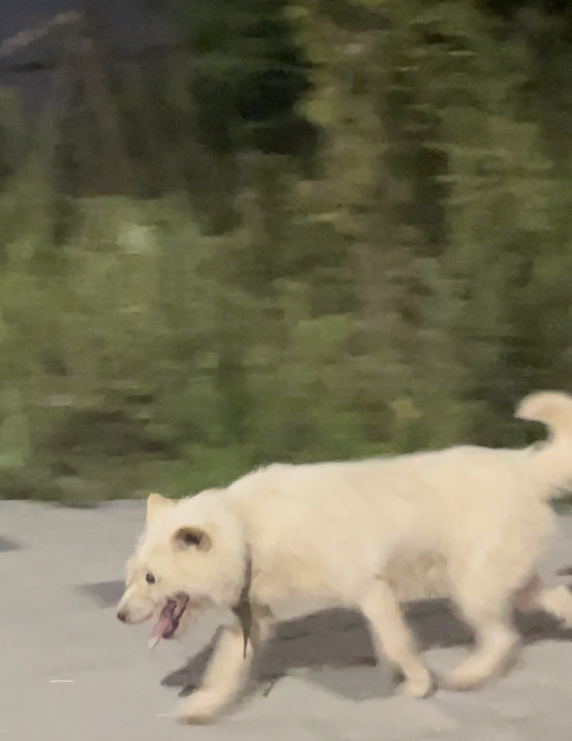 대구 학정역효성해링턴플레이스 근처