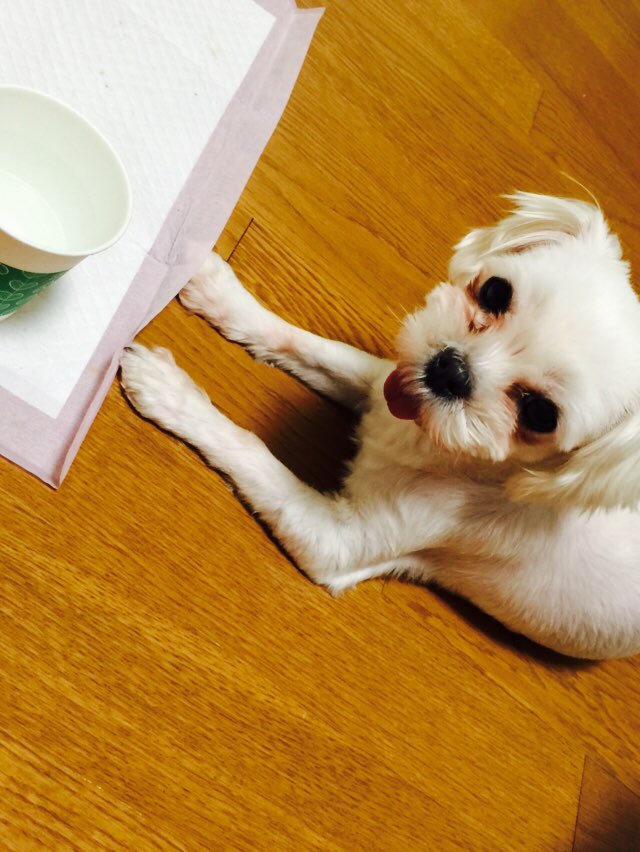 KakaoTalk_20150305_213223212.jpg