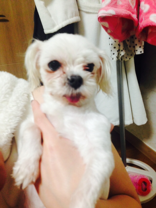 KakaoTalk_20150305_212710084.jpg