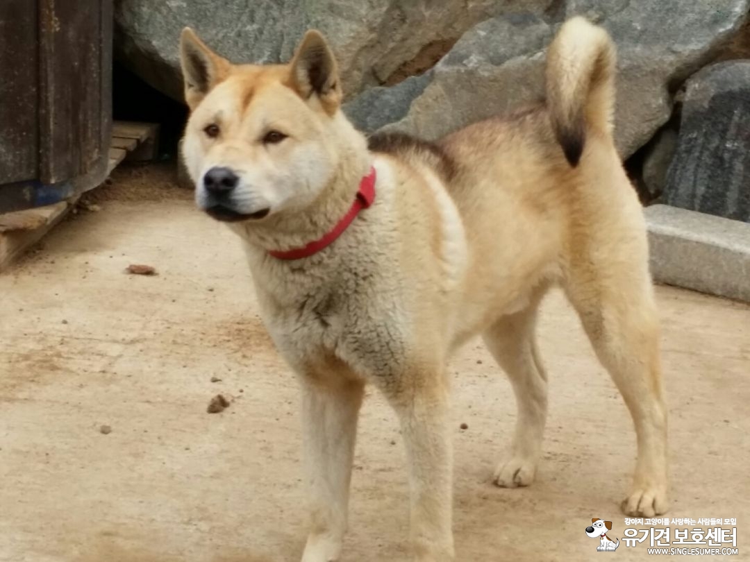 달서구 본리동에서 발견했습니다.