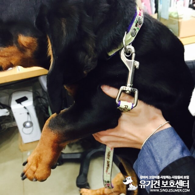 KakaoTalk_20150421_102558459.jpg