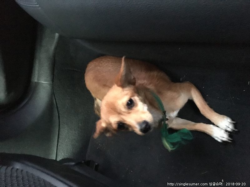 김해시 장유동(관동신안충전소 앞) 2번째 사진