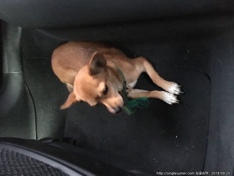 김해시 장유동(관동신안충전소 앞) 3번째 사진