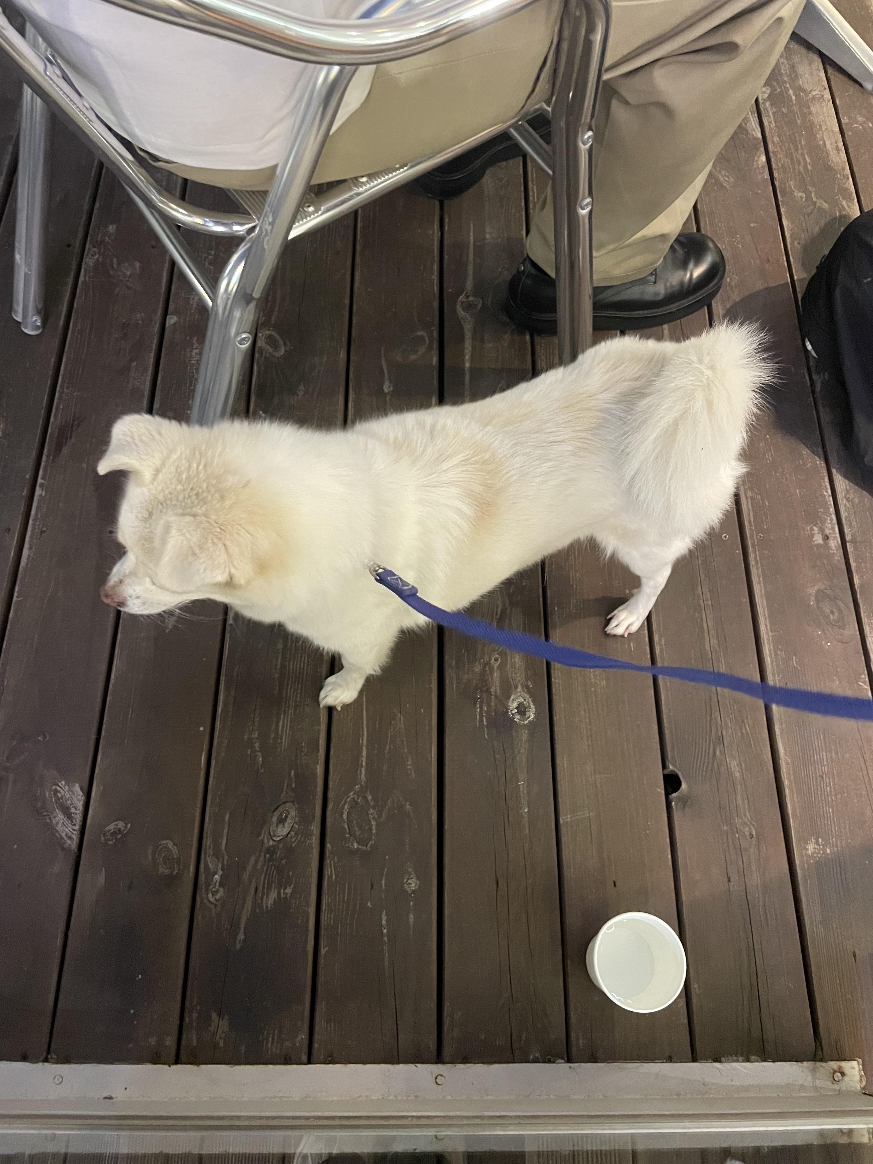 IMG_3919.jpeg.jpg