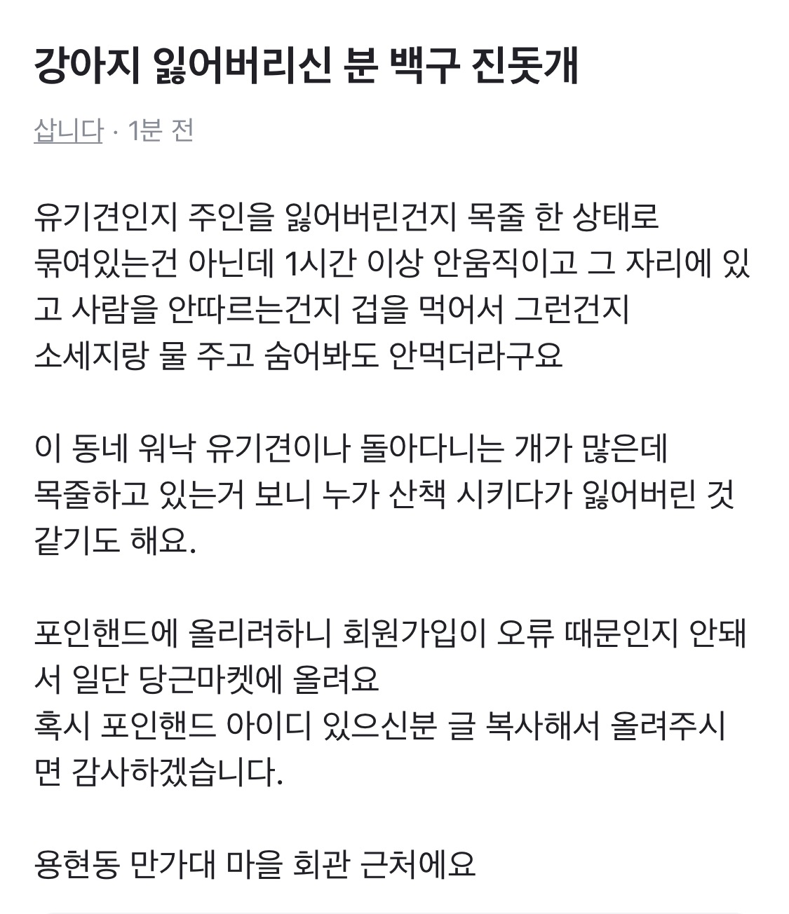 의정부 만가대 근처 진돗개 백구 주인 찾아요 2번째 사진