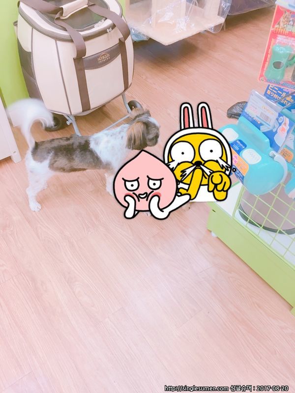 KakaoTalk_20170819_212633838.jpg