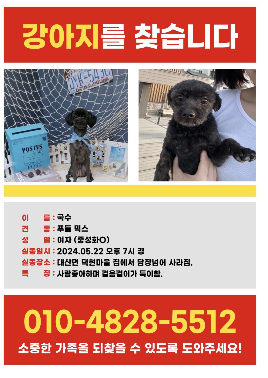 창원대산에서 강아지를 잃어버렸습니다