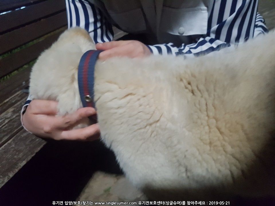 KakaoTalk_20190521_002146353.jpg