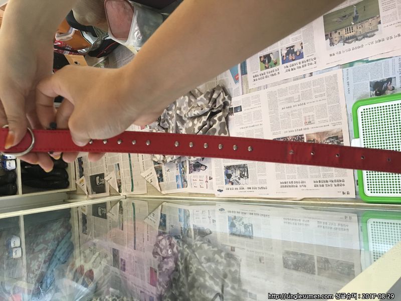 유기동물 발견 신고 | 강아지 고양이 구조 보호중 - 펫찾기 12번째 사진