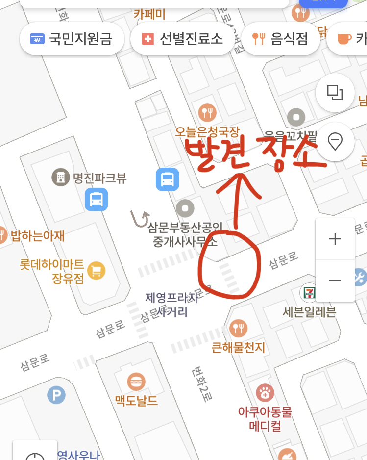 김해 장유 흰검정 코숏 보호중 입니다 ( 특징 방울 노란눈 여아? 6~7개월?) 7번째 사진