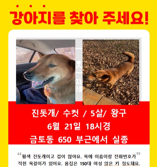 왕구사진2.jpg