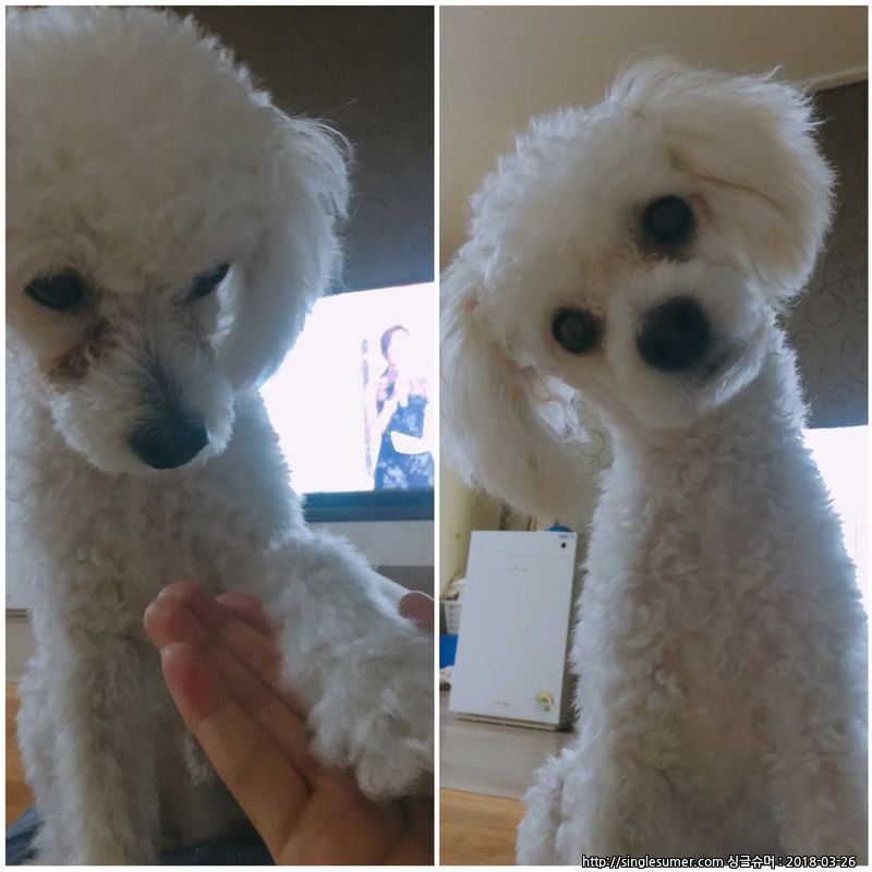 더이상 함께할수 없어서..