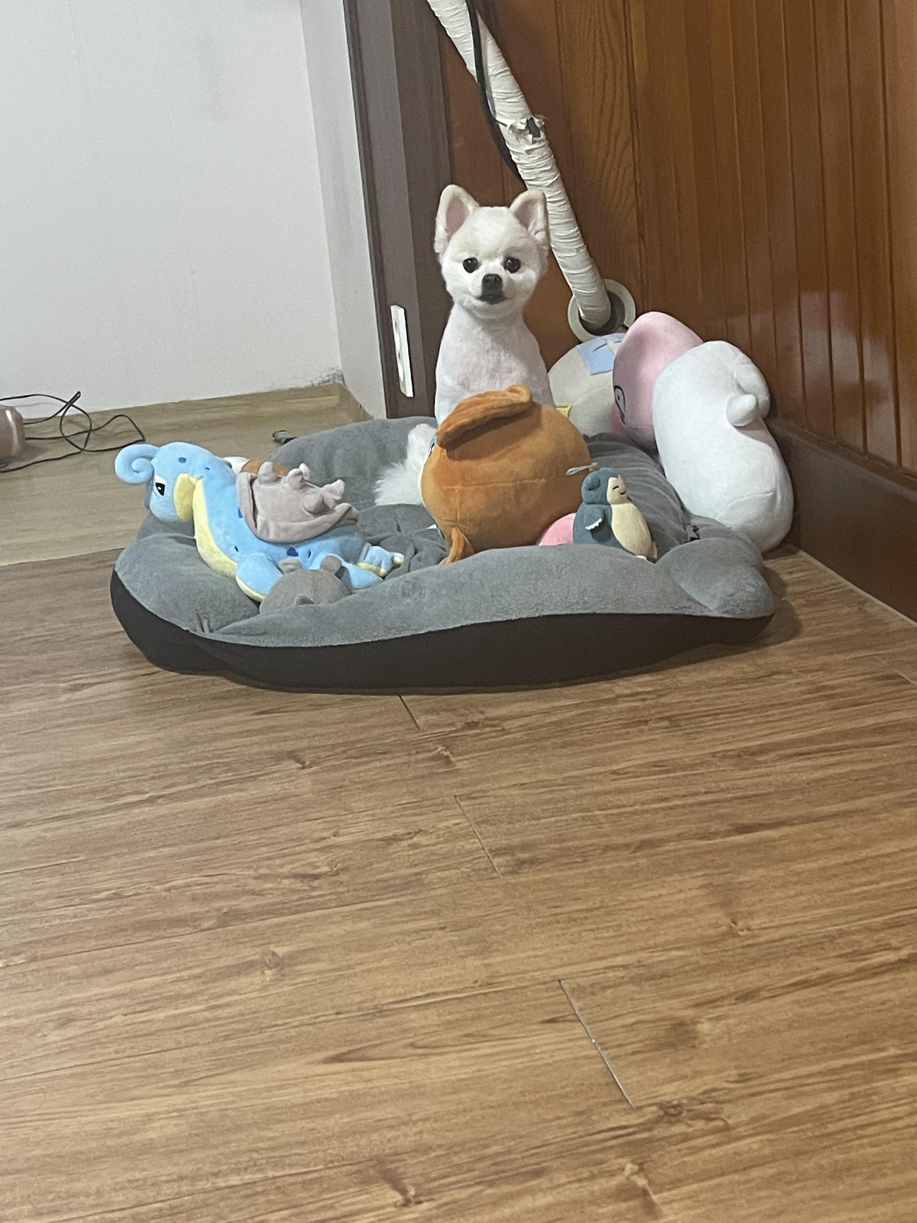 968F34EA-5F62-4607-B004-6952B56F4D00.jpeg.jpg