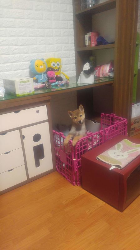 사정이 생겨서 보냅니다.