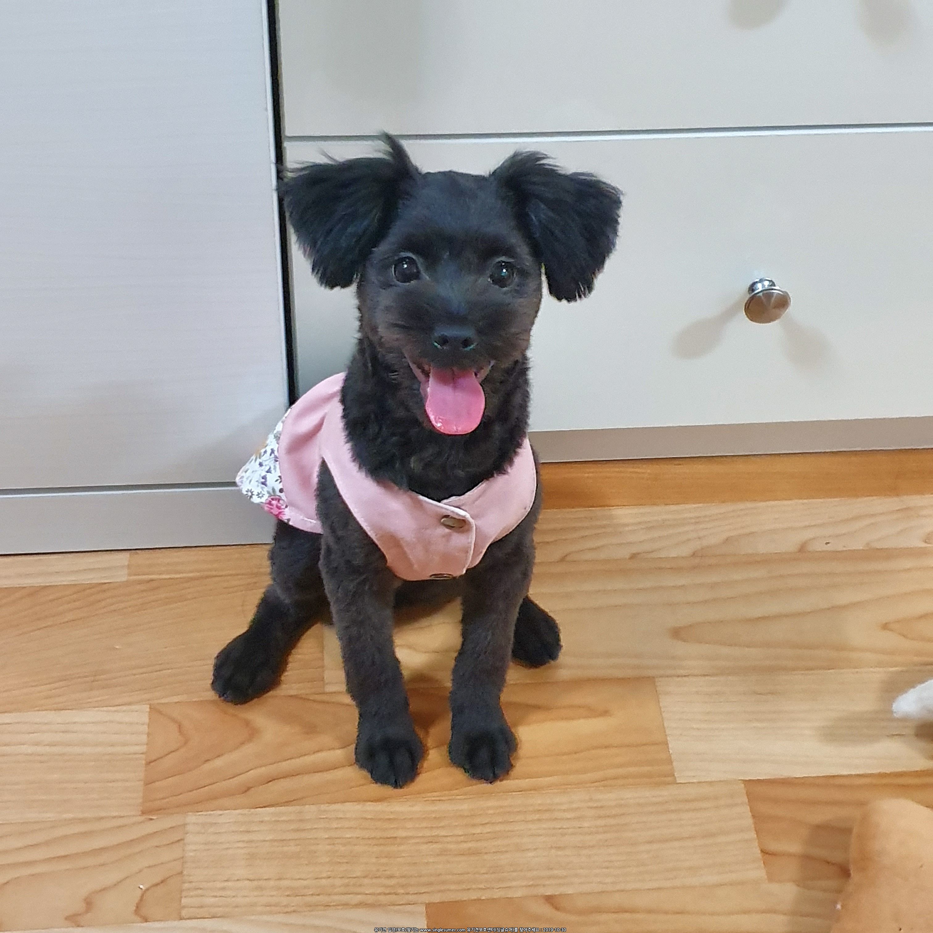 KakaoTalk_20191027_213715296_04.jpg