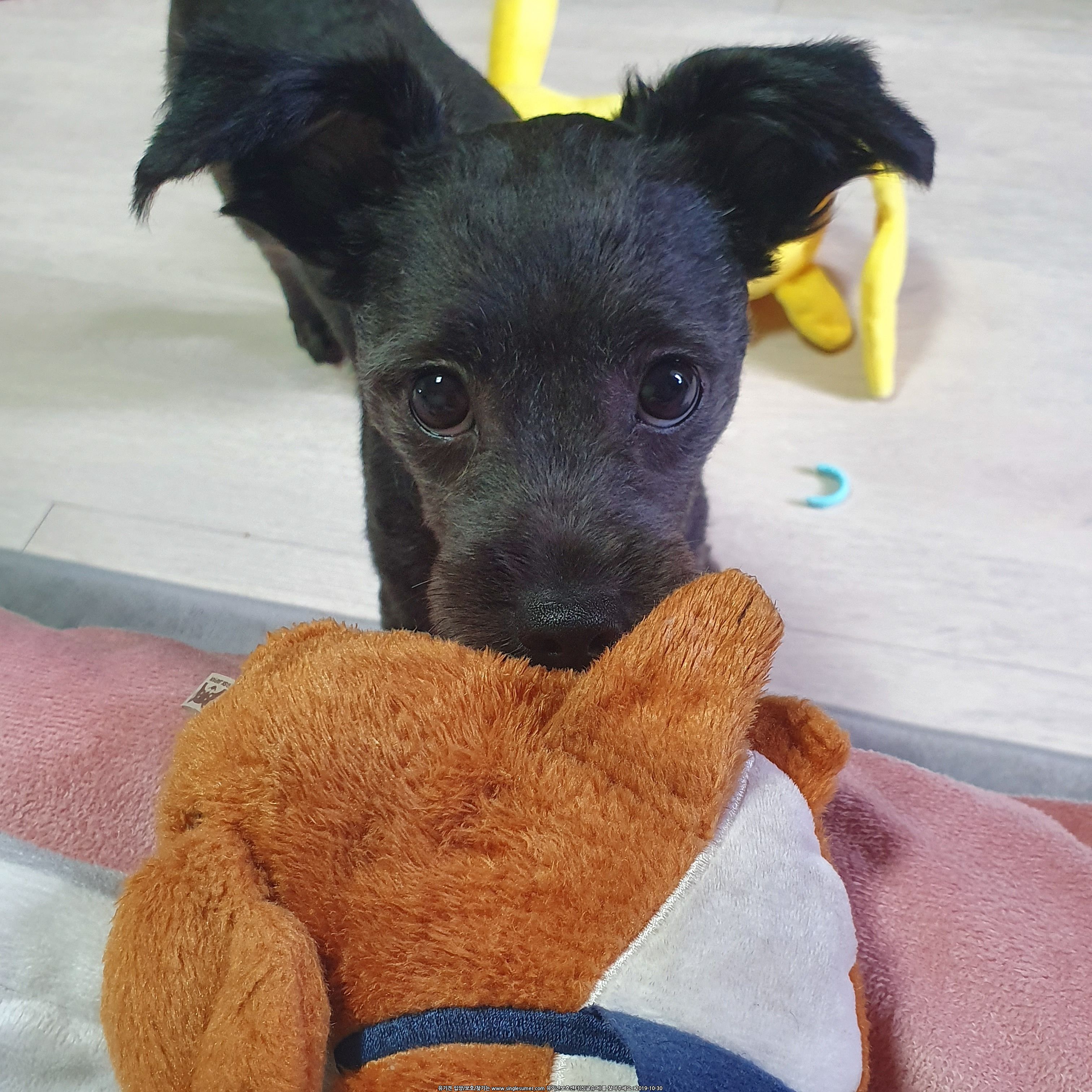 KakaoTalk_20191027_213715296_03.jpg