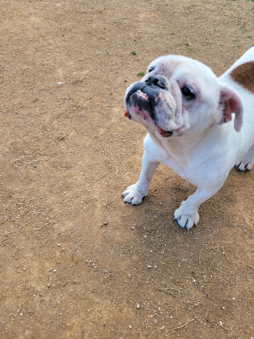 조용하고 순한 잉불부탁드립니다ㅠ 4번째 사진