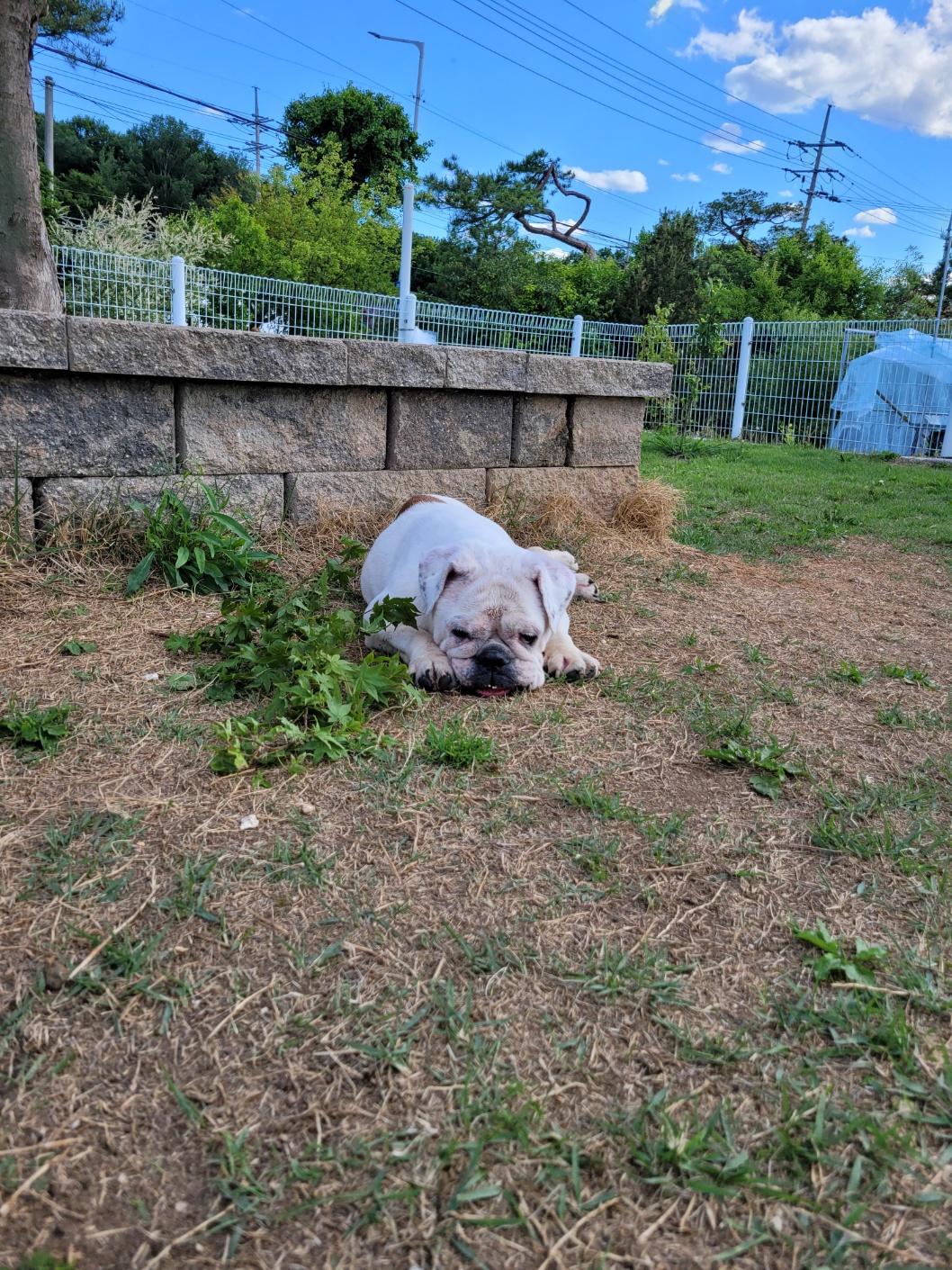 조용하고 순한 잉불부탁드립니다ㅠ