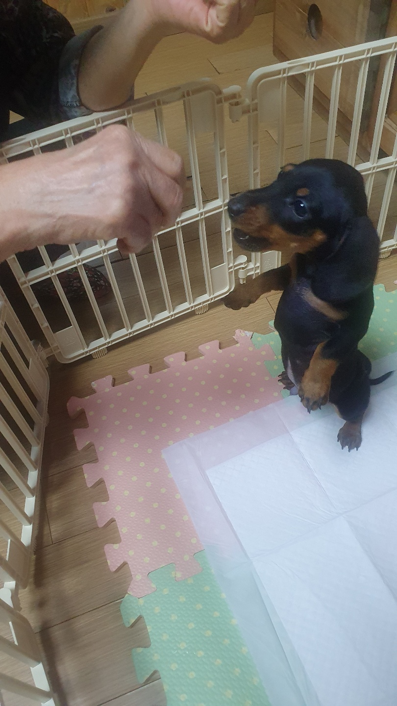 완료 되었습니다 3번째 사진