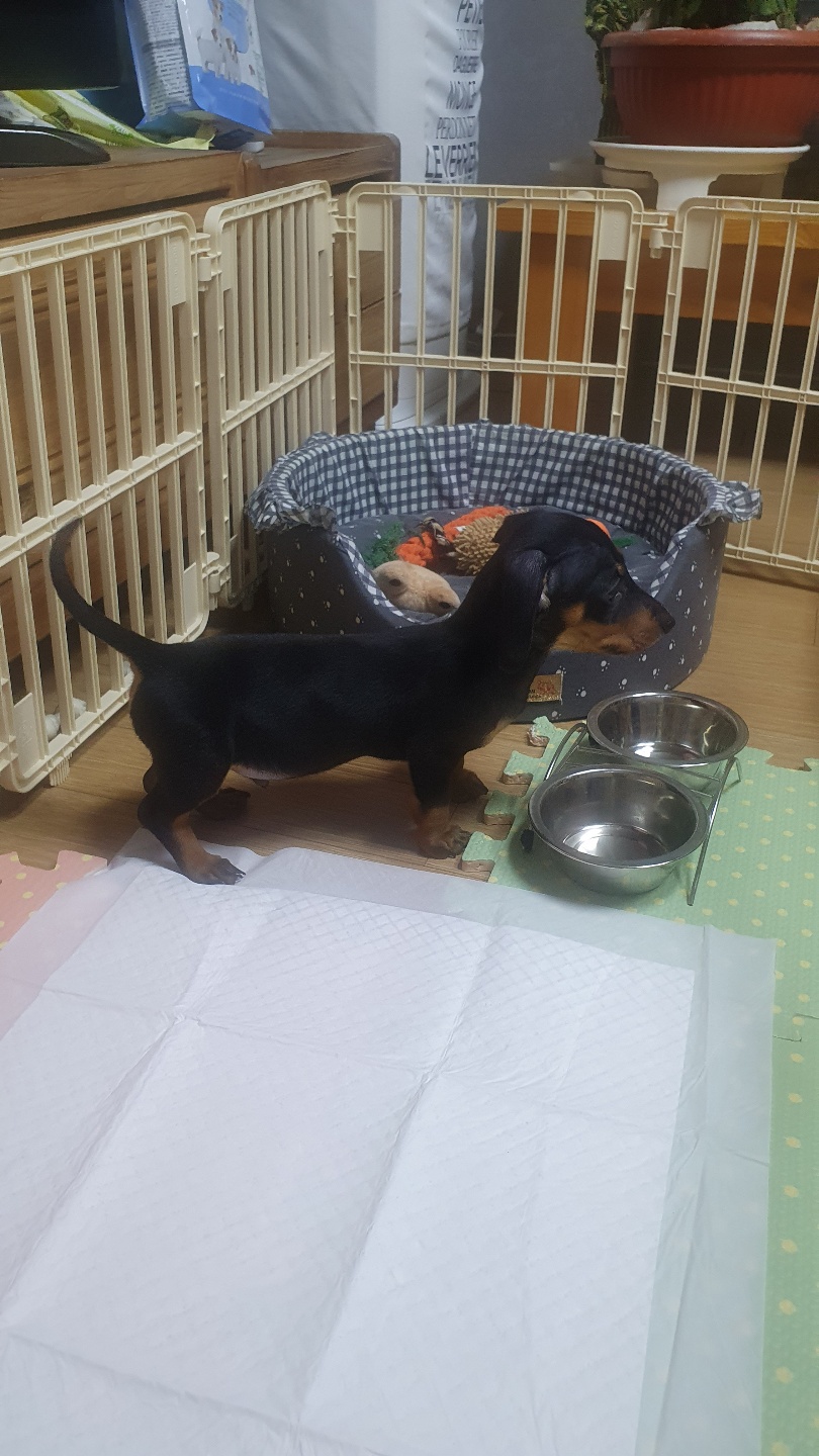 완료 되었습니다 2번째 사진