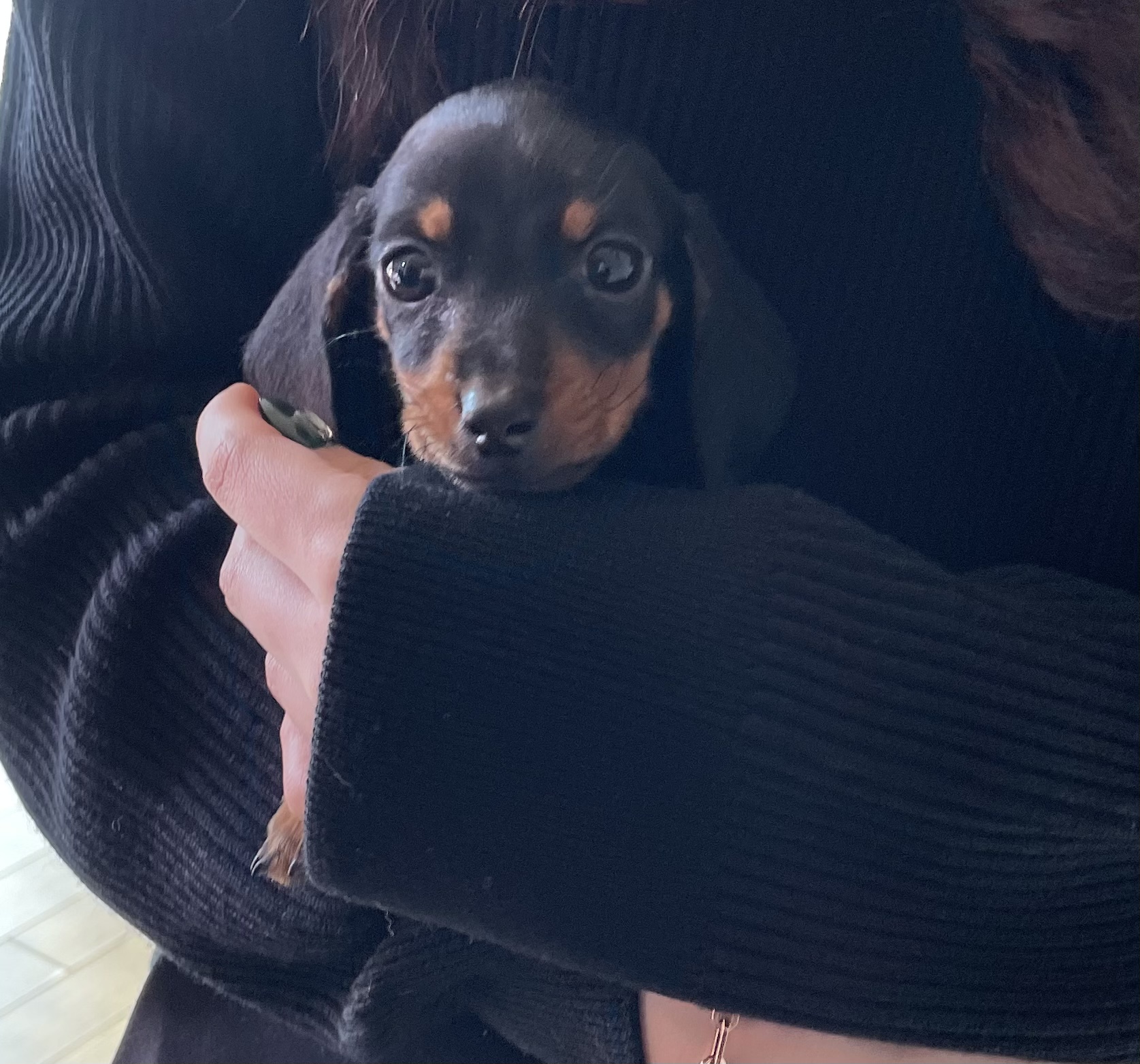 완료 되었습니다