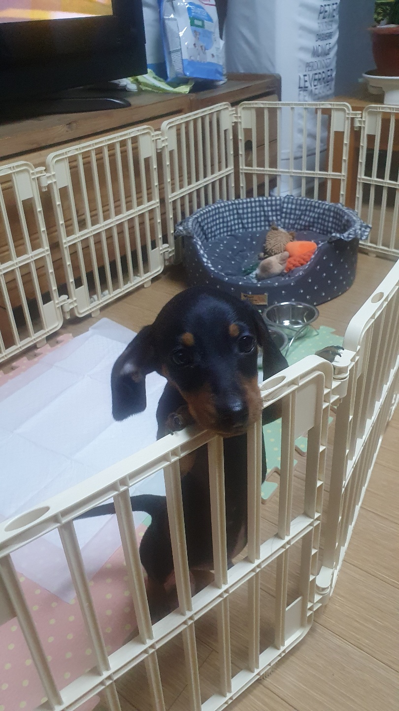 완료 되었습니다 4번째 사진