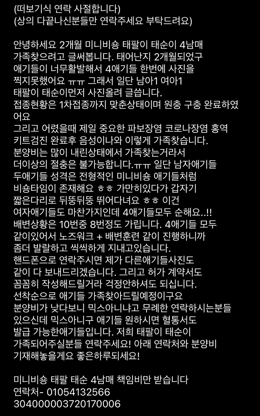 우리 아이들 키워 주실분 연락 꼭 주세요 4번째 사진