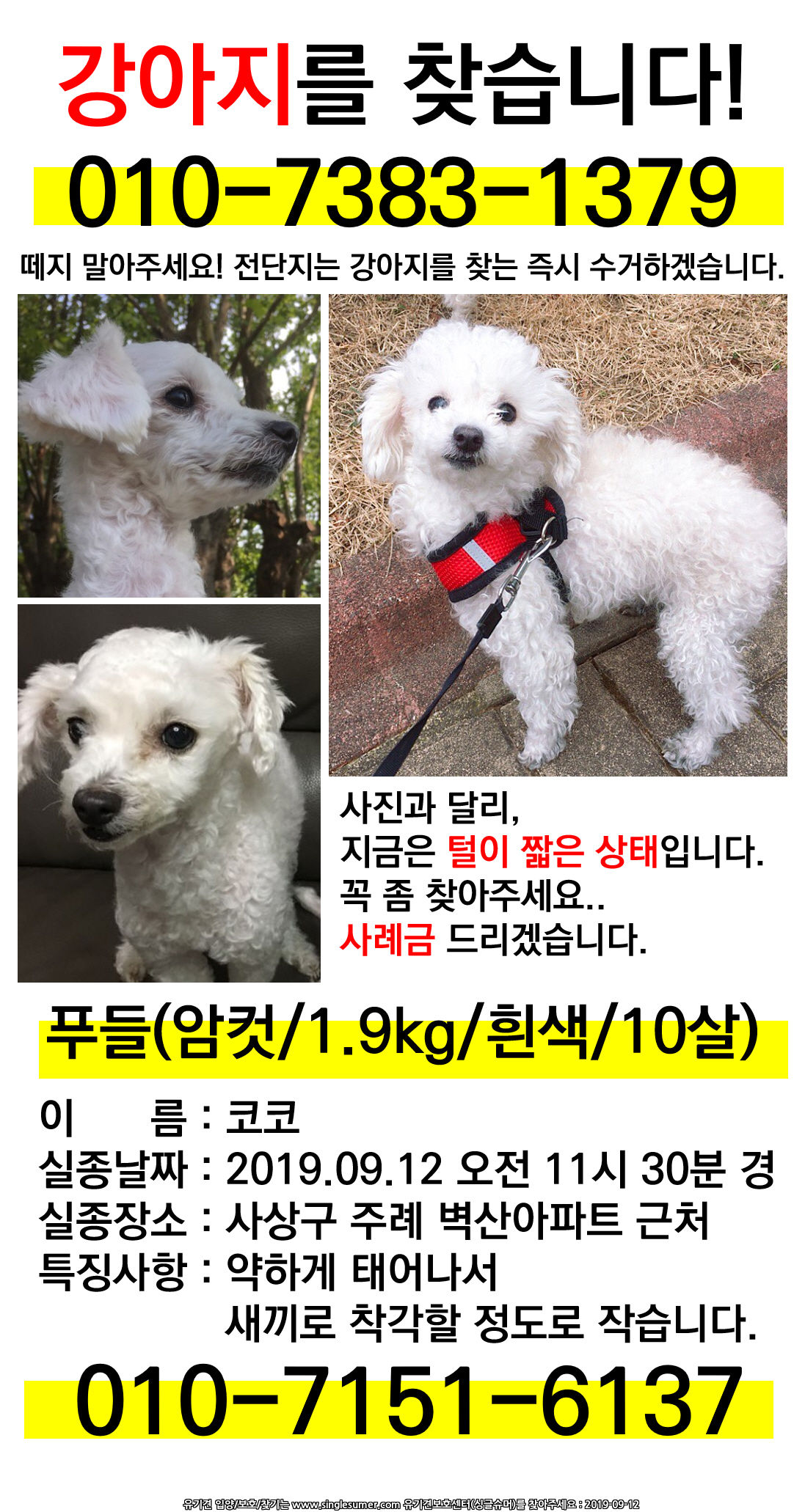 유기견보호센터 강아지보호소 고양이보호소 - 펫찾기 9번째 사진