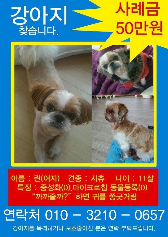 대성리에서 잃어버렸습니다