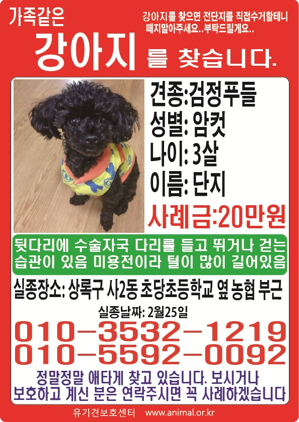 유기견보호센터 강아지보호소 고양이보호소 - 펫찾기 25번째 사진