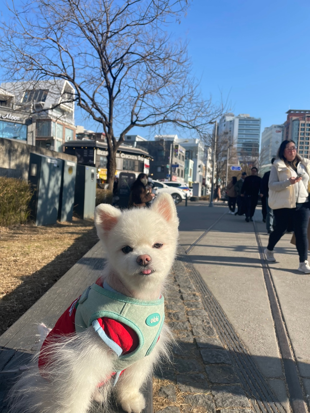 유기견보호센터 강아지보호소 고양이보호소 - 펫찾기 16번째 사진