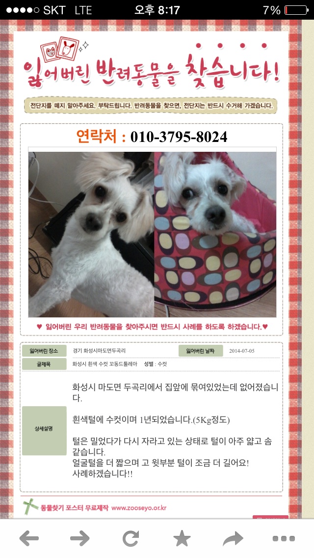 화성 마도삼거리 흰색수컷 찾아요 - 강아지 찾아요 - 유기견 보호 센터 - 이미지 1