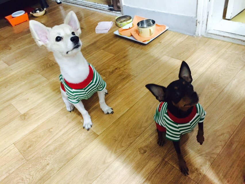 미나를찾습니다 2번째 사진