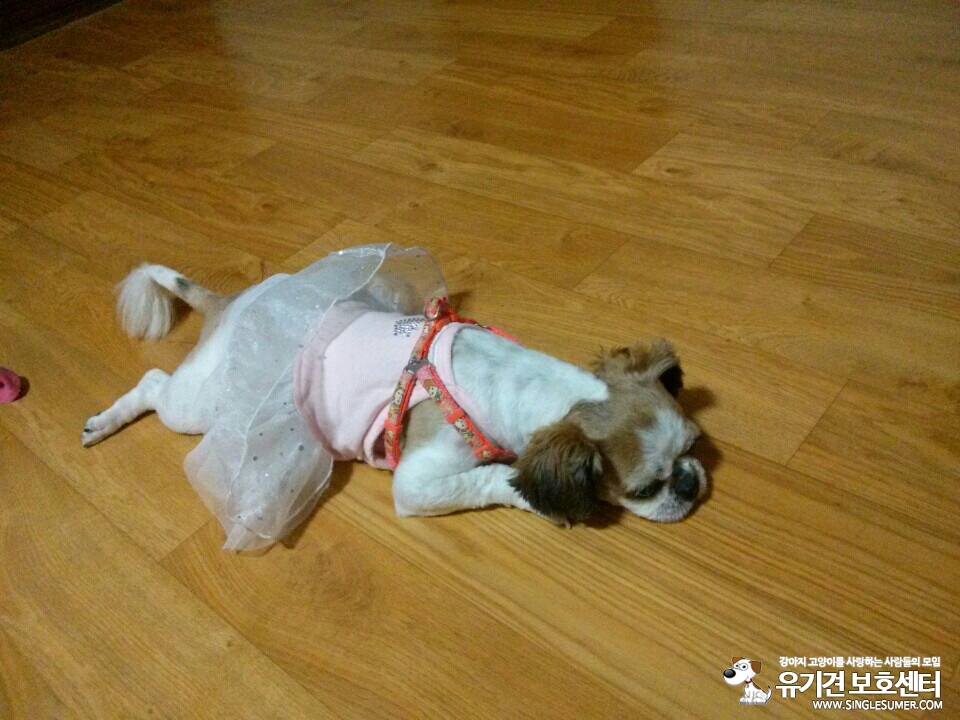 KakaoTalk_20150813_214541488.jpg