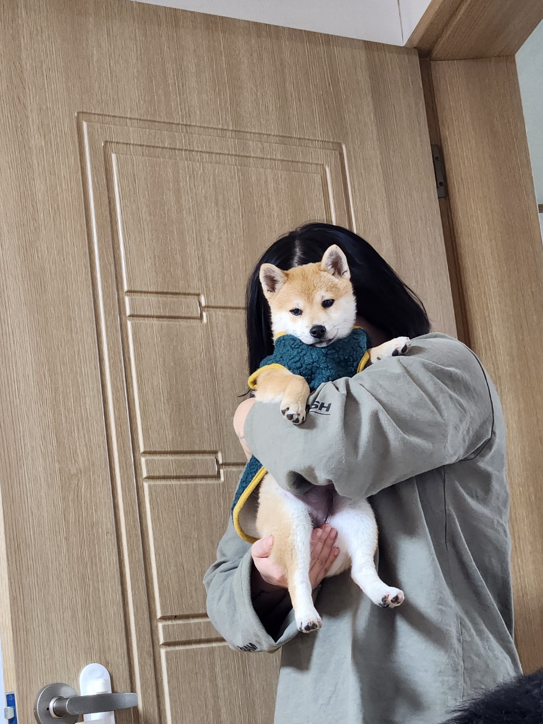 유기견보호센터 강아지보호소 고양이보호소 - 펫찾기 14번째 사진