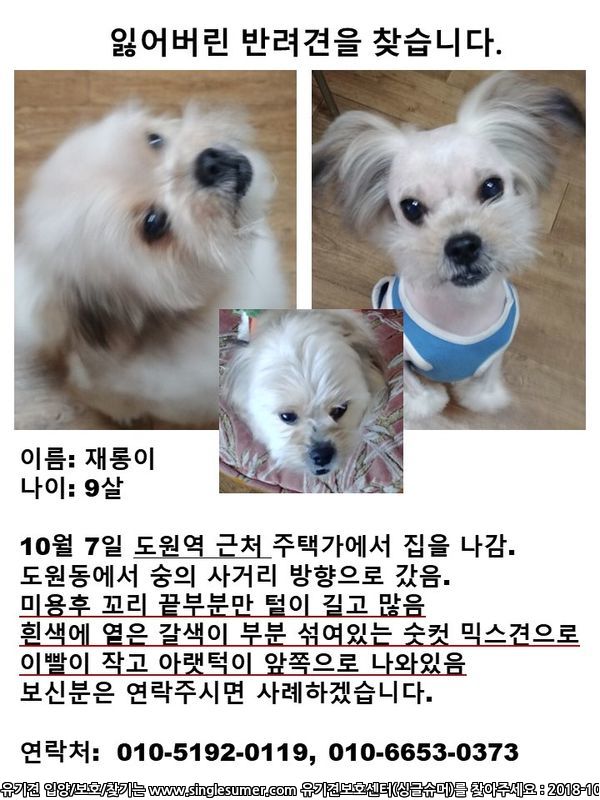 유기견보호센터 강아지보호소 고양이보호소 - 펫찾기 12번째 사진