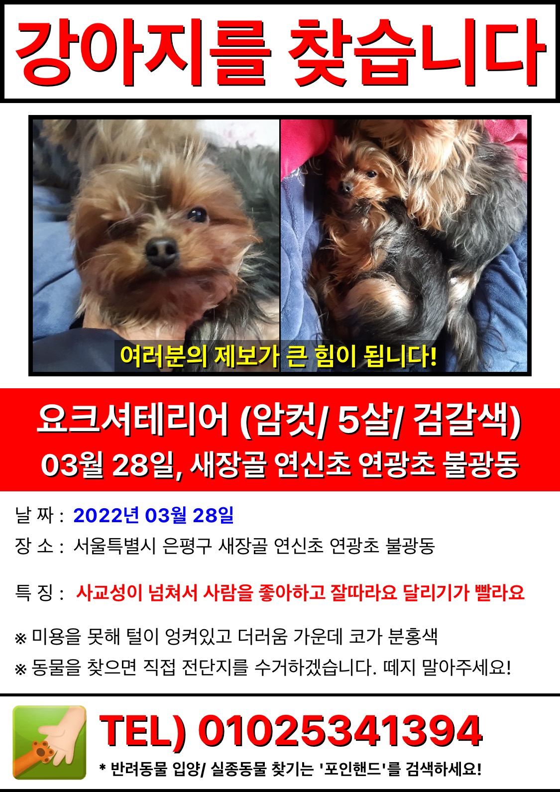 유기견보호센터 강아지보호소 고양이보호소 - 펫찾기 19번째 사진