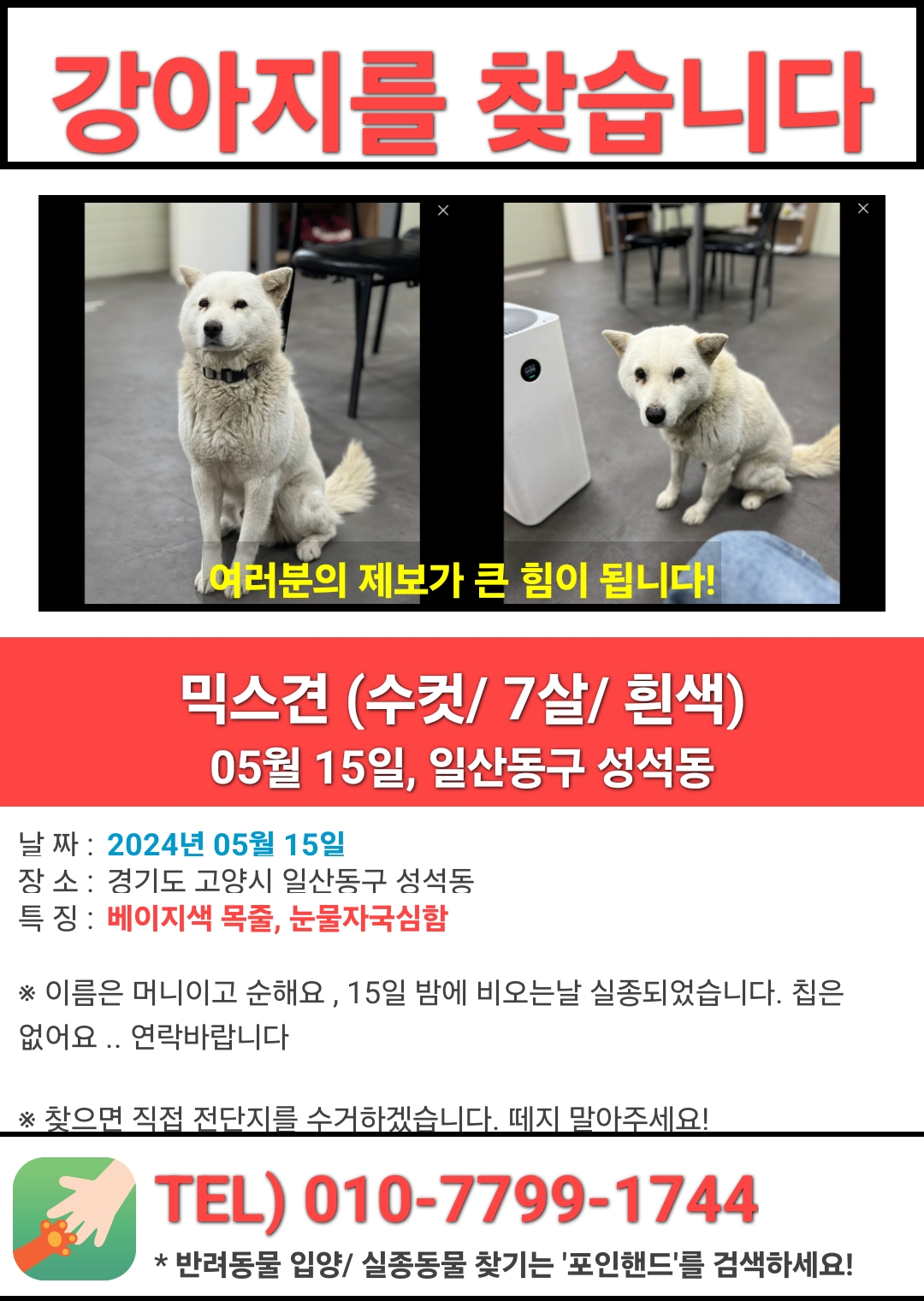 유기견보호센터 강아지보호소 고양이보호소 - 펫찾기