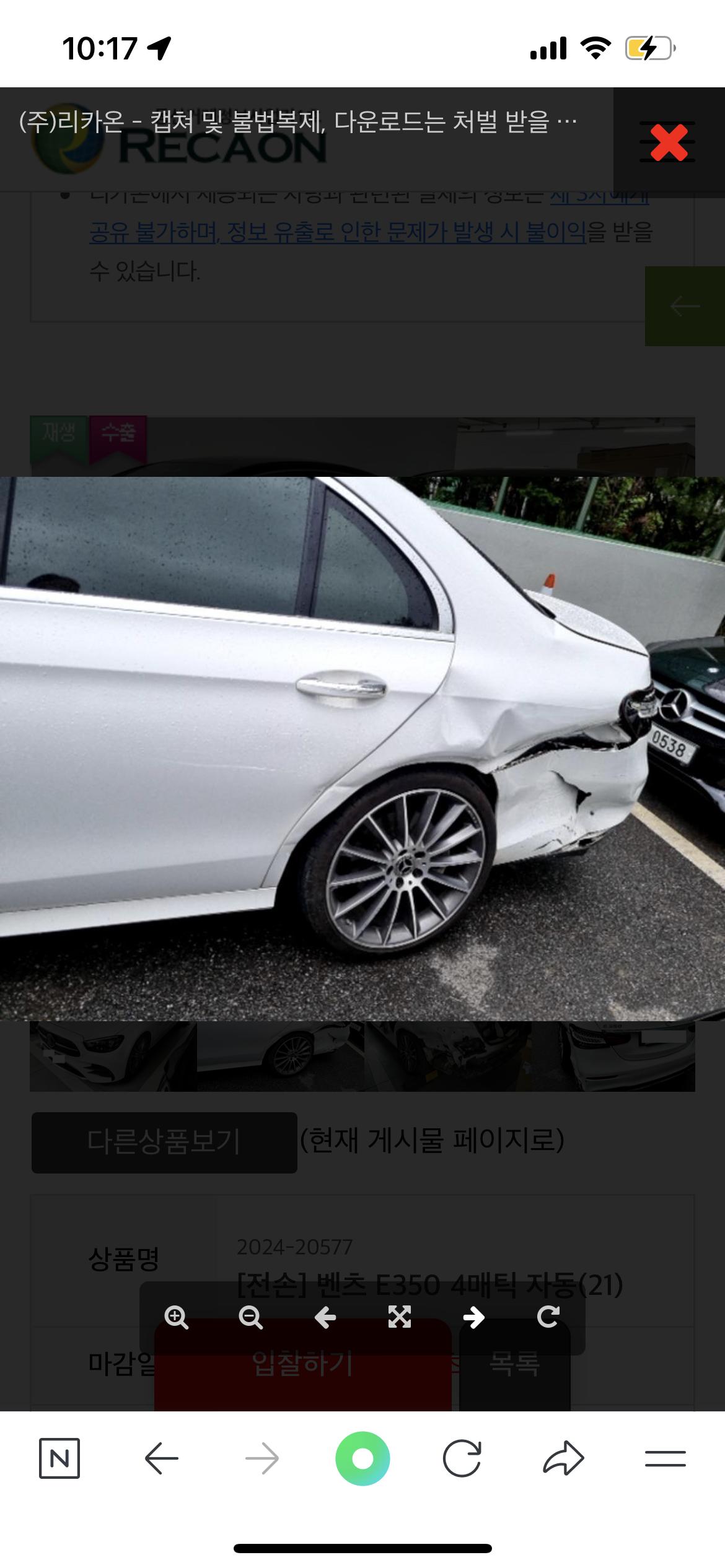 일산동구 성석동 잃어버린 머니를 찾습니다 - 강아지 찾아요 - 유기견 보호 센터 - 이미지 4