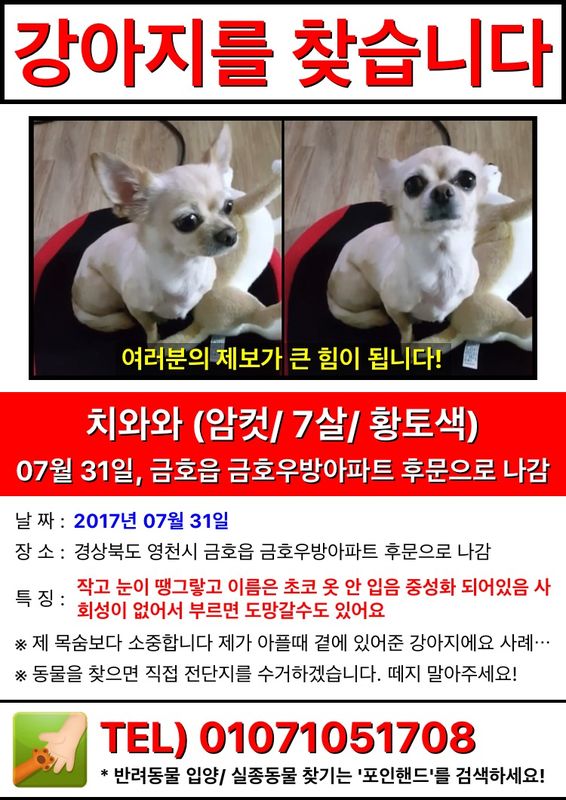 유기견보호센터 강아지보호소 고양이보호소 - 펫찾기 22번째 사진