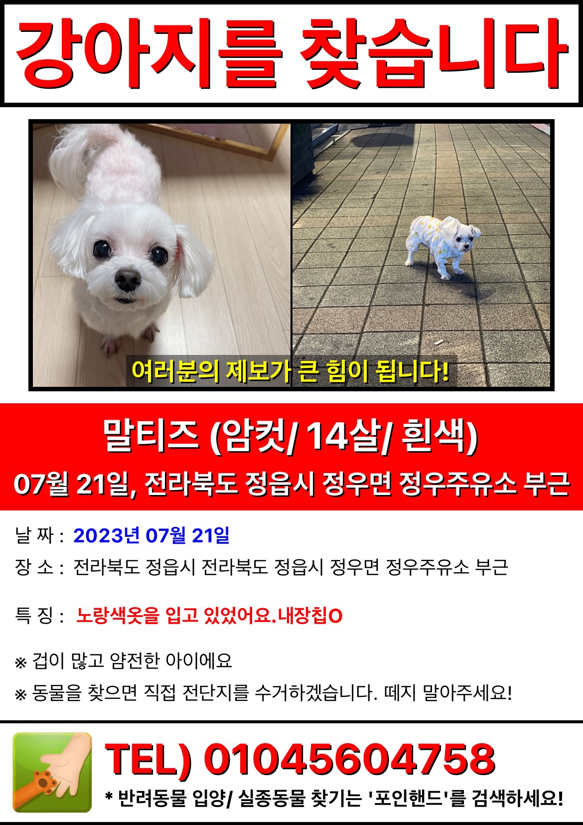 유기견보호센터 강아지보호소 고양이보호소 - 펫찾기 25번째 사진