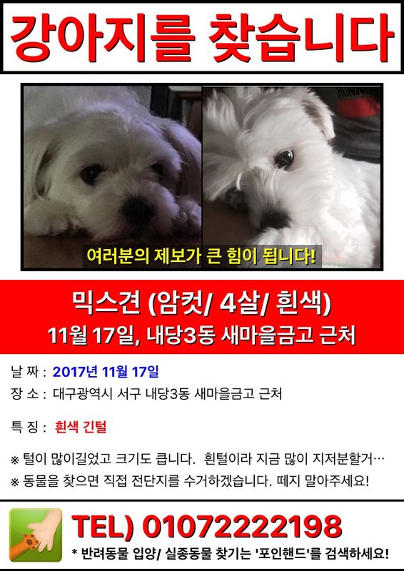 유기견보호센터 강아지보호소 고양이보호소 - 펫찾기 24번째 사진