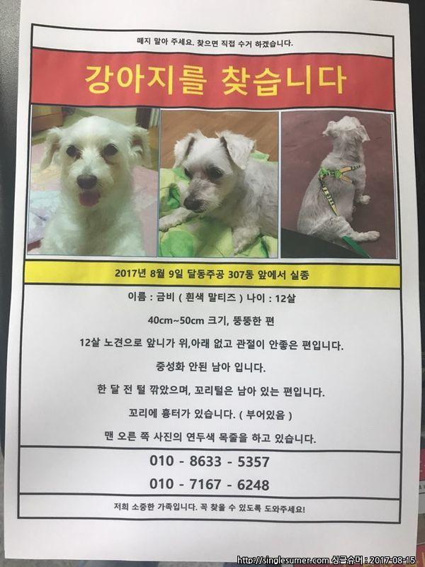 유기견보호센터 강아지보호소 고양이보호소 - 펫찾기