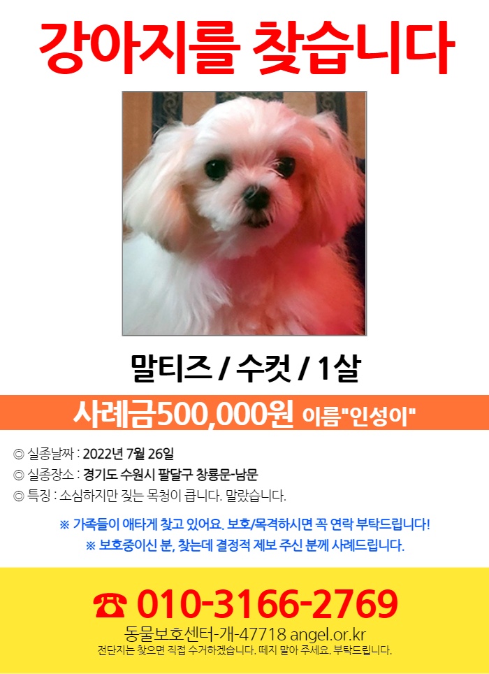 유기견보호센터 강아지보호소 고양이보호소 - 펫찾기 18번째 사진