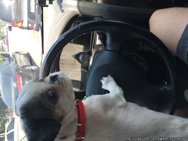 평택시 ak백화점 서부역뒤편  주택가에서..