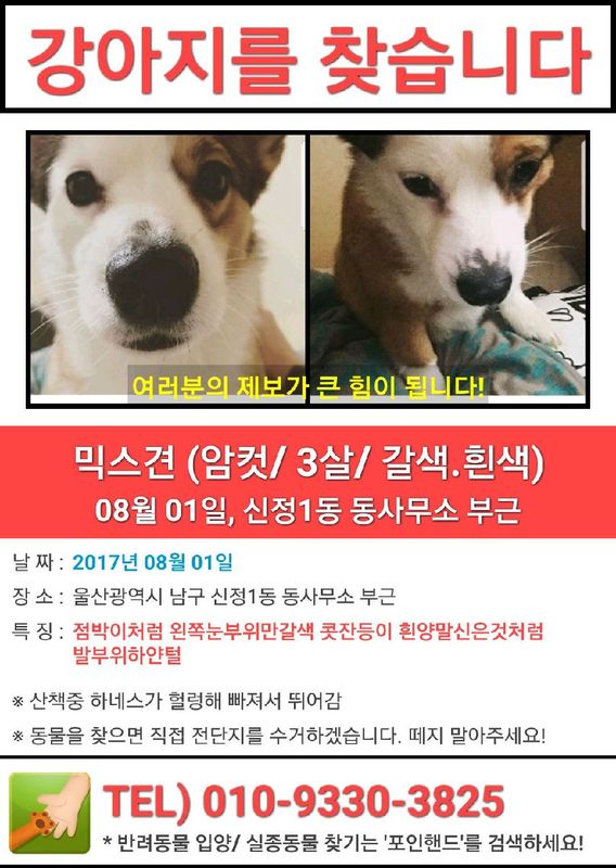 유기견보호센터 강아지보호소 고양이보호소 - 펫찾기 7번째 사진